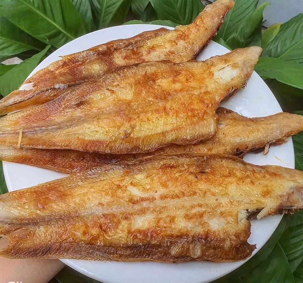 Cá lưỡi trâu 1 nắng size đại