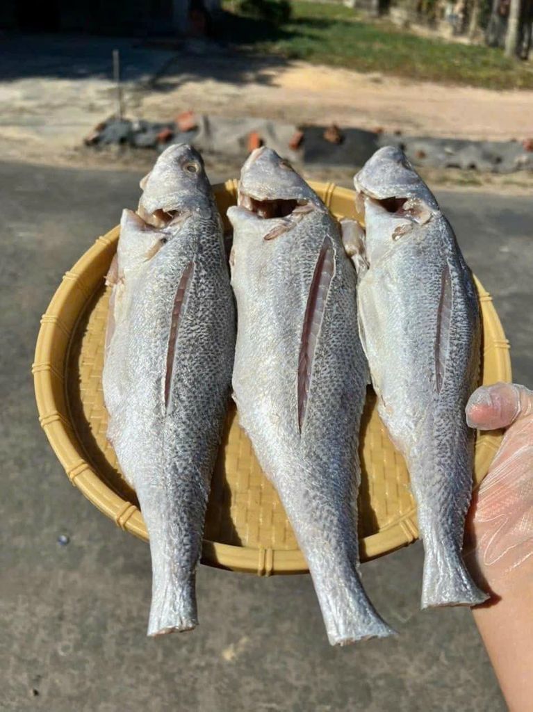 Cá sửu 1 nắng đặc sản Campuchia