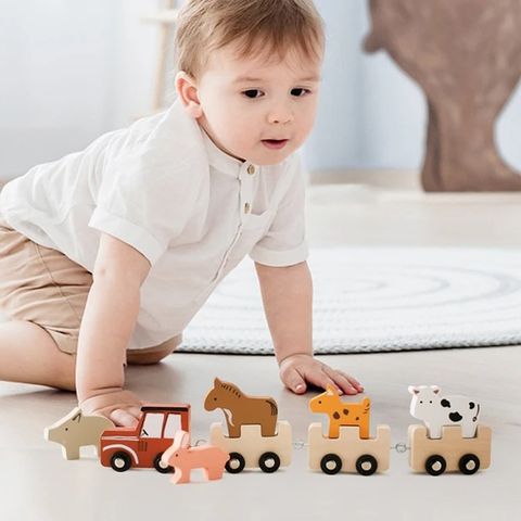 Mấy Tuổi Chơi Được Đồ Chơi Gỗ? Hướng Dẫn Chọn Đồ Chơi Gỗ Theo Độ Tuổi