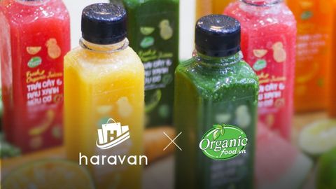 Organicfood.vn – Hành trình xây dựng cửa hàng thực phẩm hữu cơ thành công với Haravan