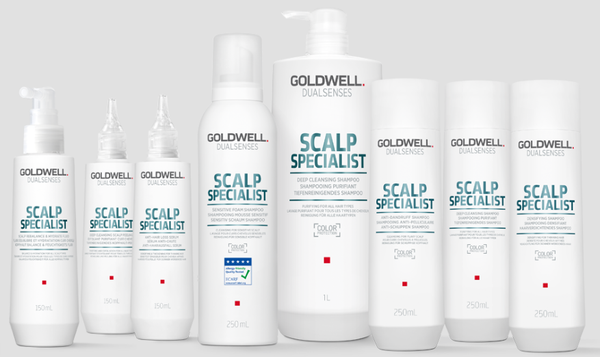 Câu chuyện khách hàng Goldwell - Haravan