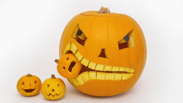 Bí ngô là đồ dùng trang trí không thể thiếu trong lễ hội Halloween