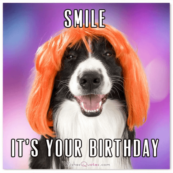 Chắc chắn các bạn sẽ ko thể nhịn được mỉm cười Lúc trông thấy bức hình chúc mừng sinh nhật chú chó này!
