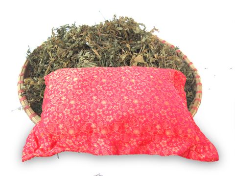 Gối lá đinh lăng thảo dược Việt Nam giúp bạn chăm sóc giấc ngủ