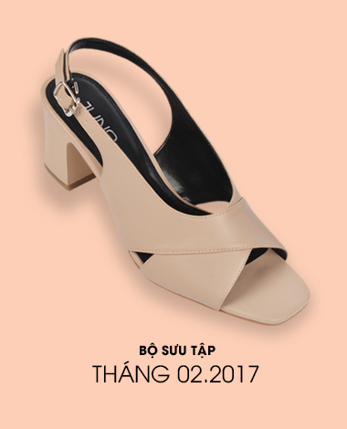 Bộ sưu tập tháng 02 - 2017