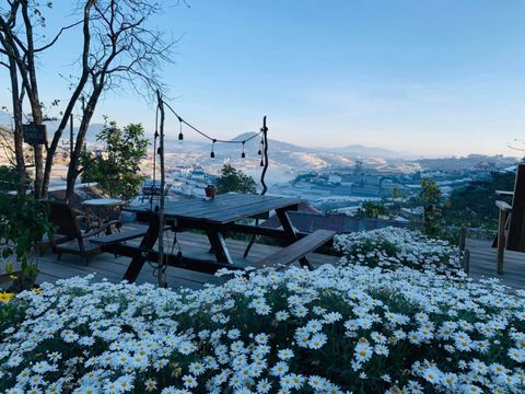 Tổng hợp các quán cà phê nhất định phải ghé ở Đà Lạt