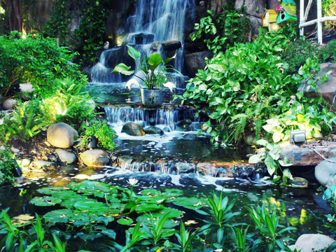 6 quán cà phê hot trend không nên bỏ qua ở Sài Gòn