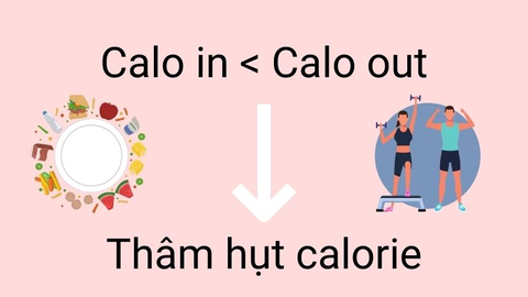 Cách Tính Thâm Hụt Calo Để Giảm Cân An Toàn, Hiệu Quả