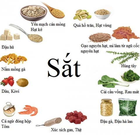 Sắt Có Trong Thực Phẩm Nào? Top 20 Thực Phẩm Giàu Sắt Cho Sức Khỏe