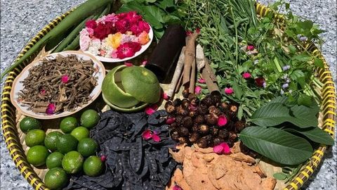 Dầu Gội Thảo Dược Tự Nhiên: Bí Quyết Cho Mái Tóc Khỏe Mạnh Và Óng Ả