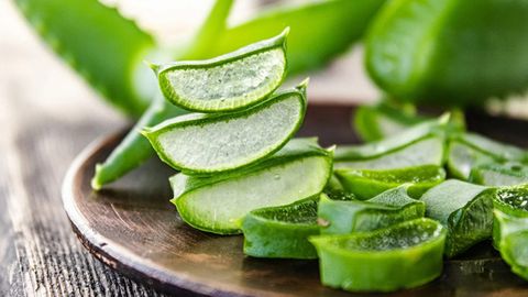 Lô Hội: Sự Kết Hợp Hoàn Hảo Cho Chế Độ Chăm Sóc Da Hàng Ngày