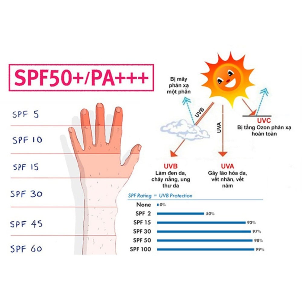 2.2 - thegioiskinfood.com - Chỉ số SPF, PA bảo vệ da khỏi ánh nắng