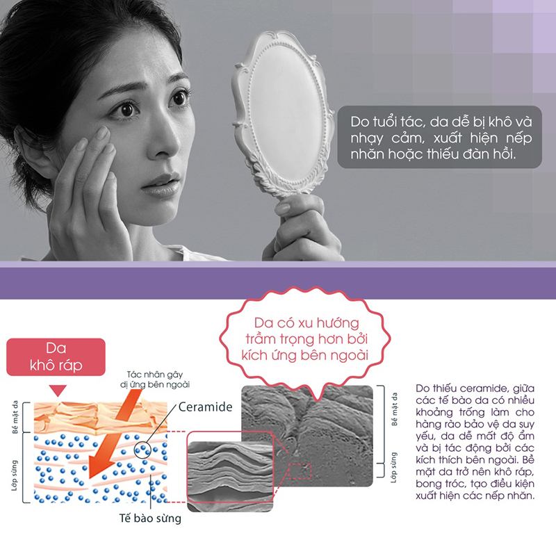 Kem Dưỡng Ẩm Chuyên Sâu Chống Lão Hóa Curél Aging Care Series Moisture Facial Cream
