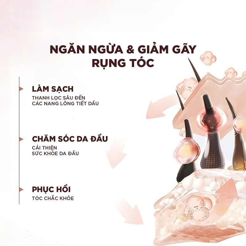 thegioiskinfood.com - Dầu Gội, Dầu Xả Giảm Rụng Tóc, Giúp Tóc Chắc Khỏe L'oreal Full Resist 440ml