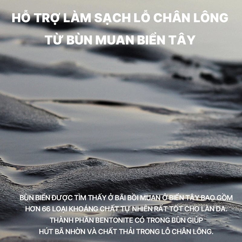 thegioiskinfood.com - Mặt Nạ Bùn Kiềm Dầu, Thu Nhỏ Lỗ Chân Lông #Pore Reset Mud
