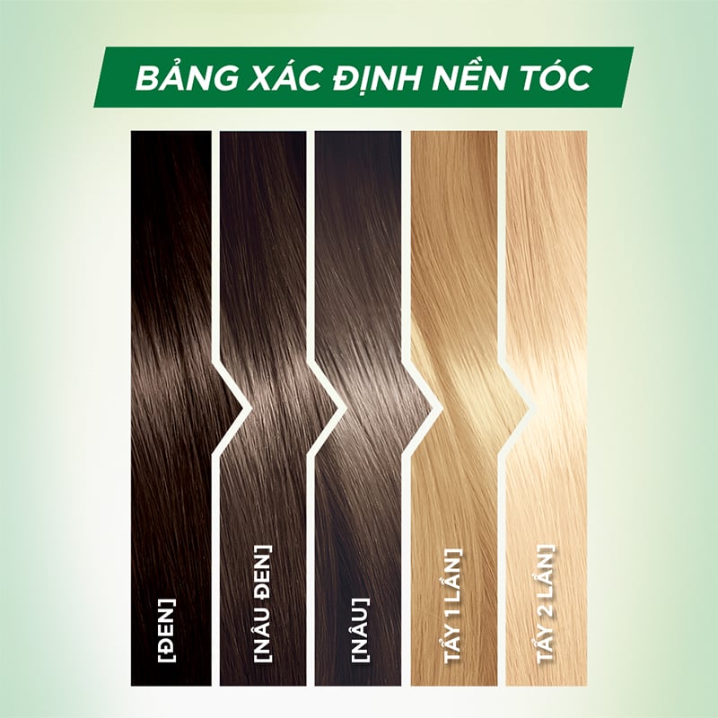 thegioiskinfood.com - Garnier Color Naturals