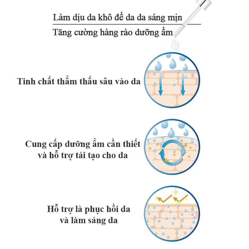 thegioiskinfood.com - tinh chất dưỡng PSK