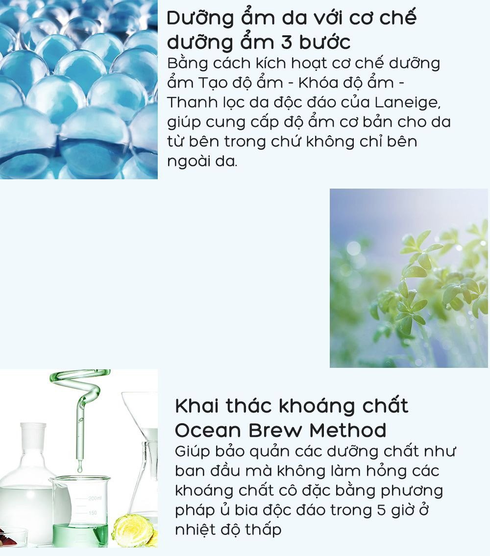 thegioiskinfood.com - Tinh Chất Laneige Bổ Sung Độ Ẩm Cho Làn Da Mịn Màng, Căng Bóng Water Bank Moisture Essence