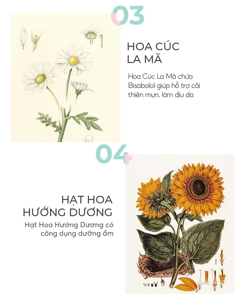 thegioiskinfood.com - Phấn Phủ Silkygirl Dạng Bột Kiềm Dầu Cho Da Mịn Màng No Sebum Mineral Powder 5g