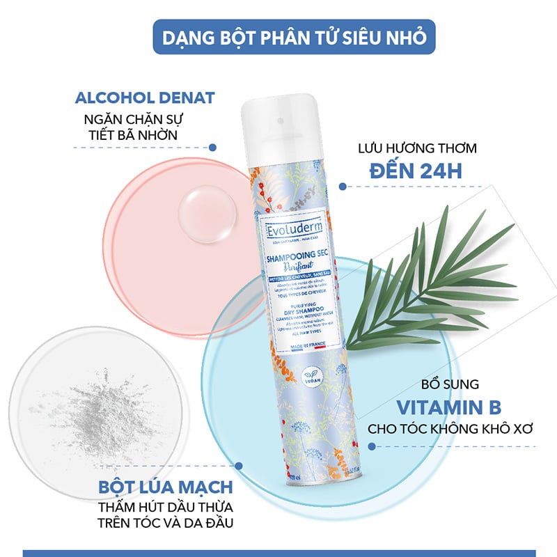 thegioiskinfood.com - Dầu Gội Khô Evoluderm Purifying Shampoo Dry 200ml