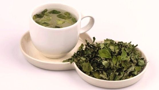 🌿🍀Khám phá cách giảm cân bằng trà chùm ngây🎖