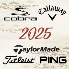 Top 5 Thương Hiệu Gậy Golf Tốt Nhất 2025: Đánh Giá Toàn Diện