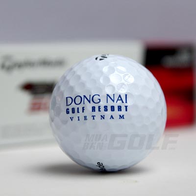in bong golf logo dong nai