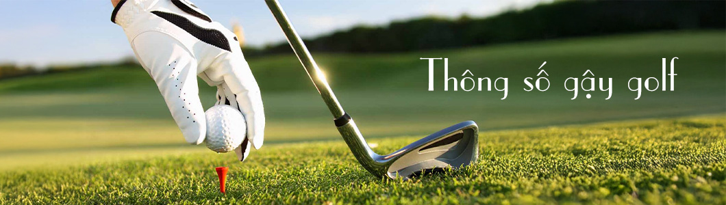 Ảnh Hưởng Của Thông Số Gậy Golf (Loft, Flex, Lie) Đến Cú Đánh