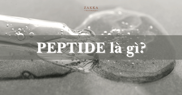 Peptide là gì? Thực hư công dụng duy trì 