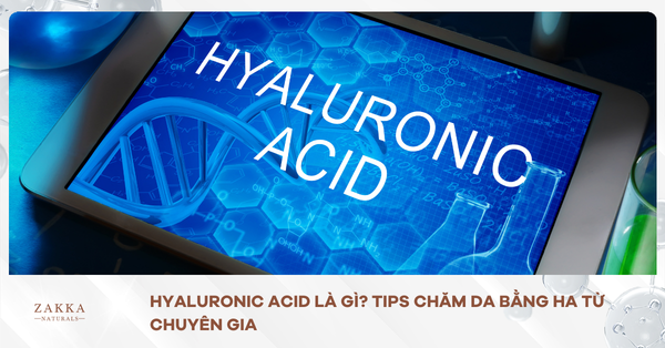 Hyaluronic Acid Là Gì? Tips Chăm Da Bằng HA Từ Chuyên Gia