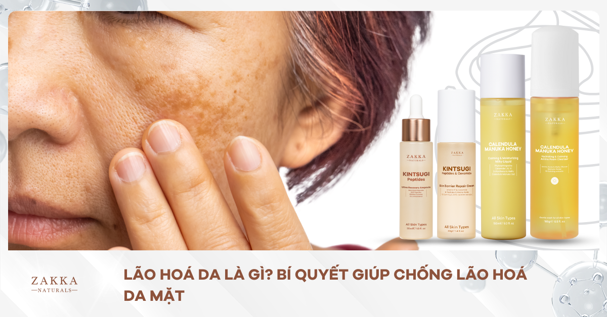 Lão Hoá Da Là Gì? Bí Quyết Giúp Chống Lão Hoá Da Mặt