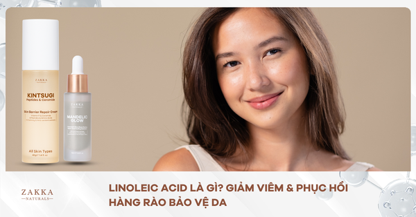 Linoleic Acid Là Gì? Giảm Viêm & Phục Hồi Hàng Rào Bảo Vệ Da