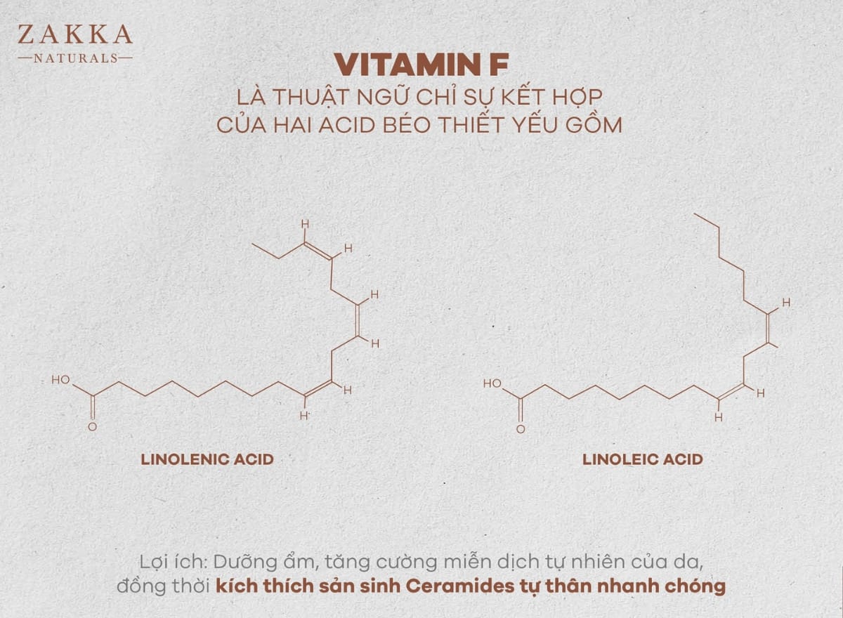 Vitamin F là gì?