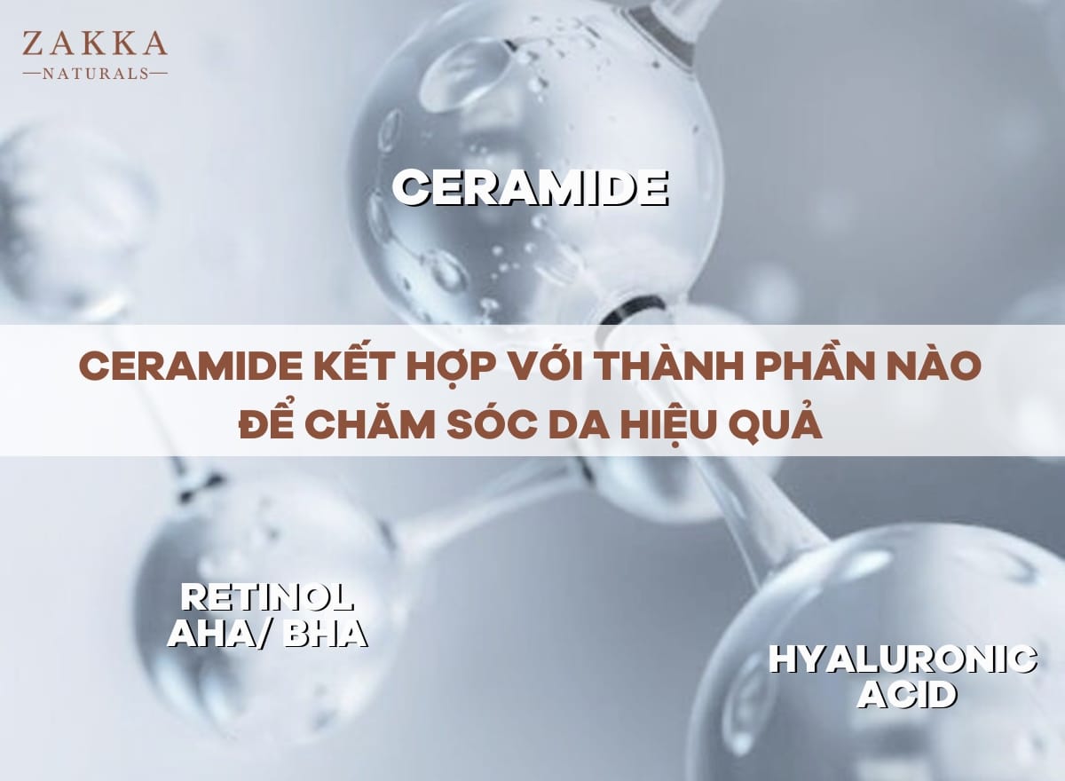 Ceramide kết hợp với thành phần nào để chăm sóc da hiệu quả