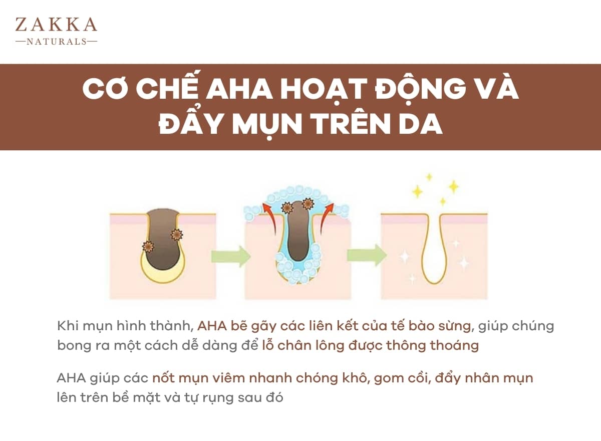 Cơ chế AHA hoạt động và đẩy mụn trên da