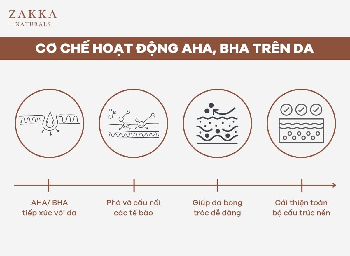 Cách Dùng AHA Và BHA Theo Từng Loại Da – Zakka Naturals