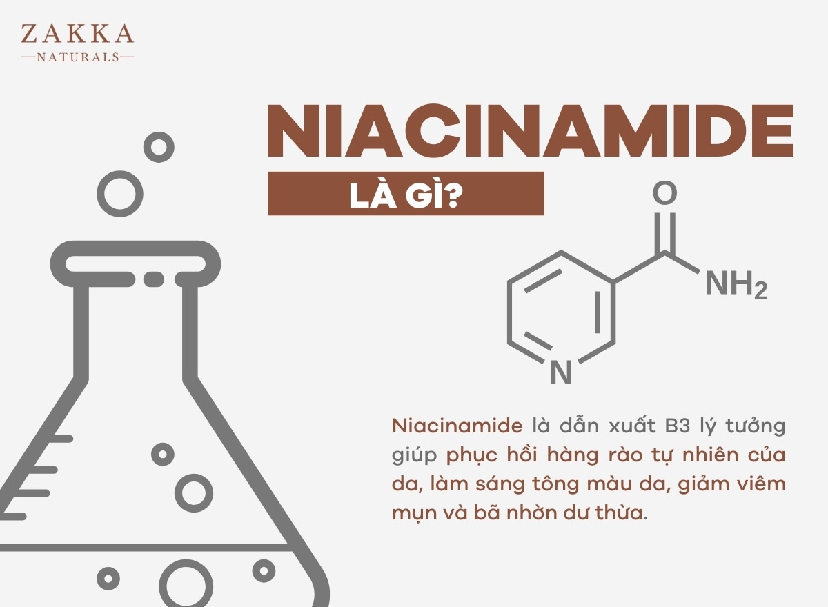 Niacinamide Là Gì? Bí Quyết Kết Hợp Cùng Mỹ Phẩm Khác