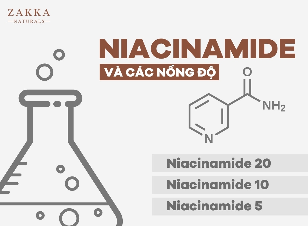 Niacinamide Là Gì? Bí Quyết Kết Hợp Cùng Mỹ Phẩm Khác