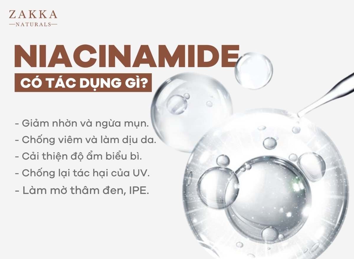 Niacinamide Là Gì? Bí Quyết Kết Hợp Cùng Mỹ Phẩm Khác