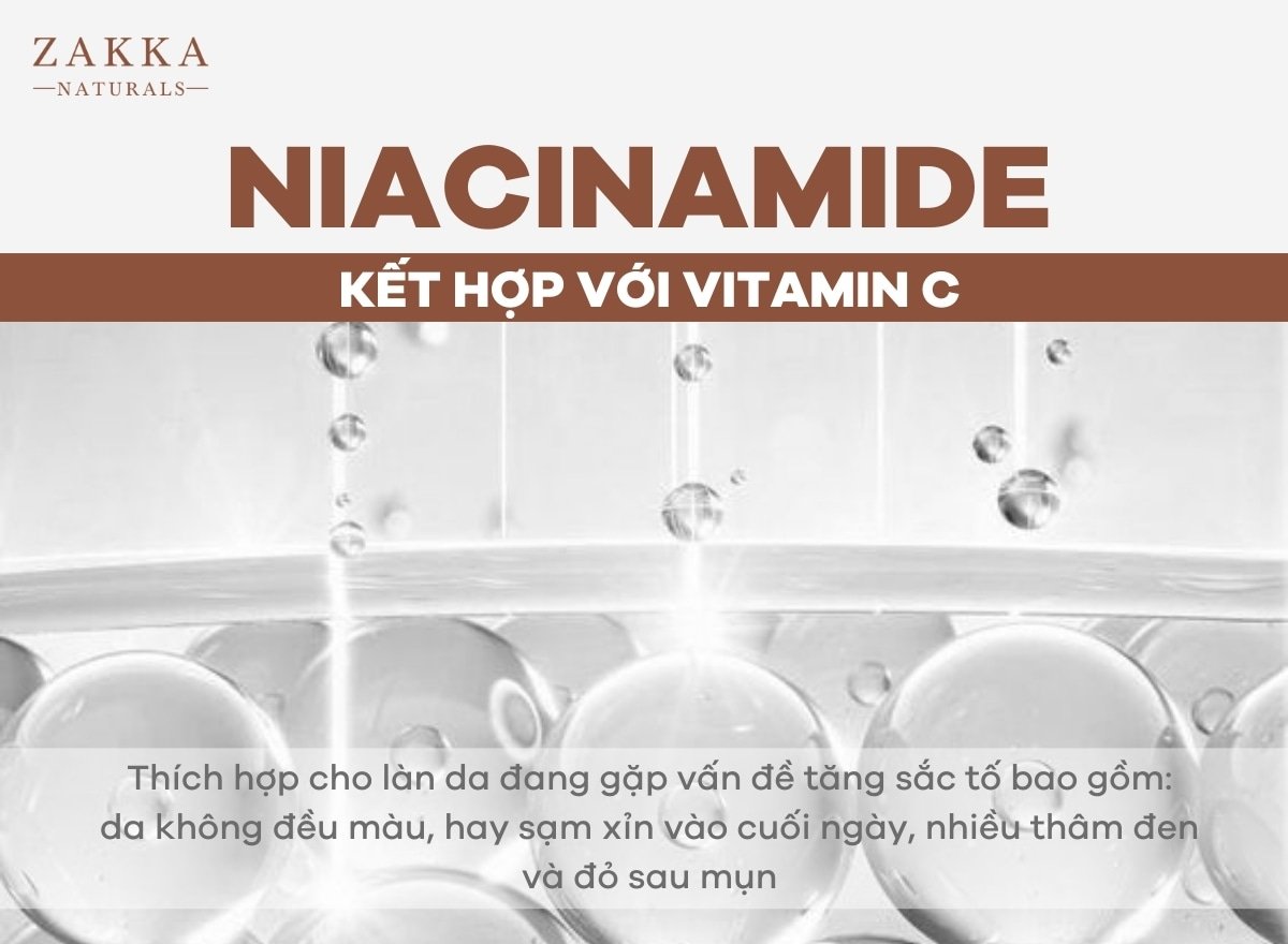 Niacinamide Là Gì? Bí Quyết Kết Hợp Cùng Mỹ Phẩm Khác