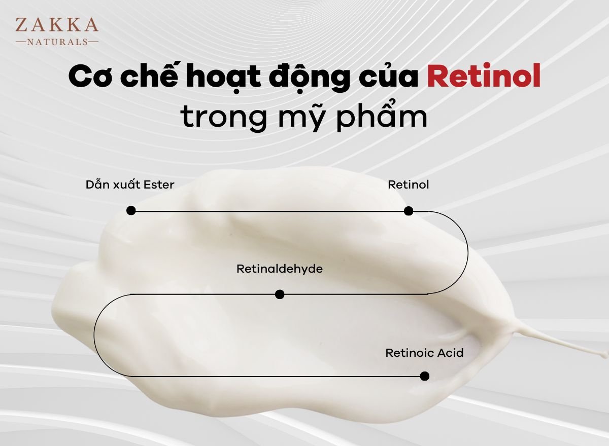 Cơ chế hoạt động của các loại Retinol trong mỹ phẩm