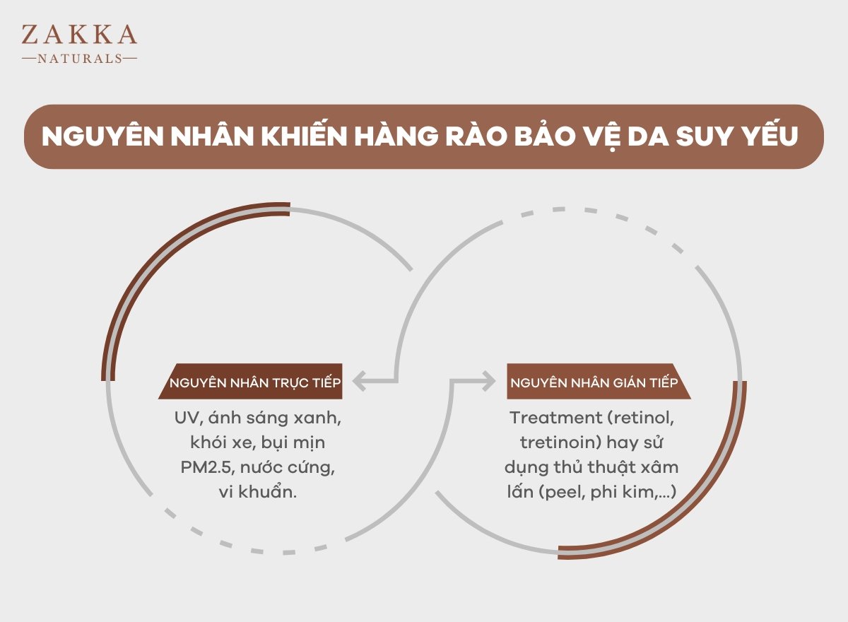 Hàng Rào Bảo Vệ Da Là Gì? Cách Phục Hồi Hàng Rào Bảo Vệ Da Nhanh Chóng?
