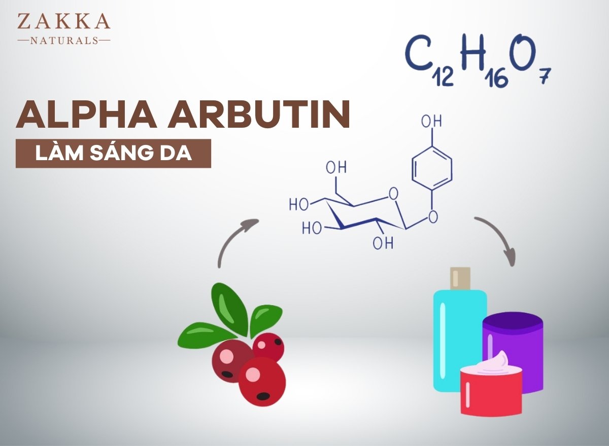 Kết hợp Alpha Arbutin và Niacinamide có được không? Có tác dụng gì? – Zakka  Naturals