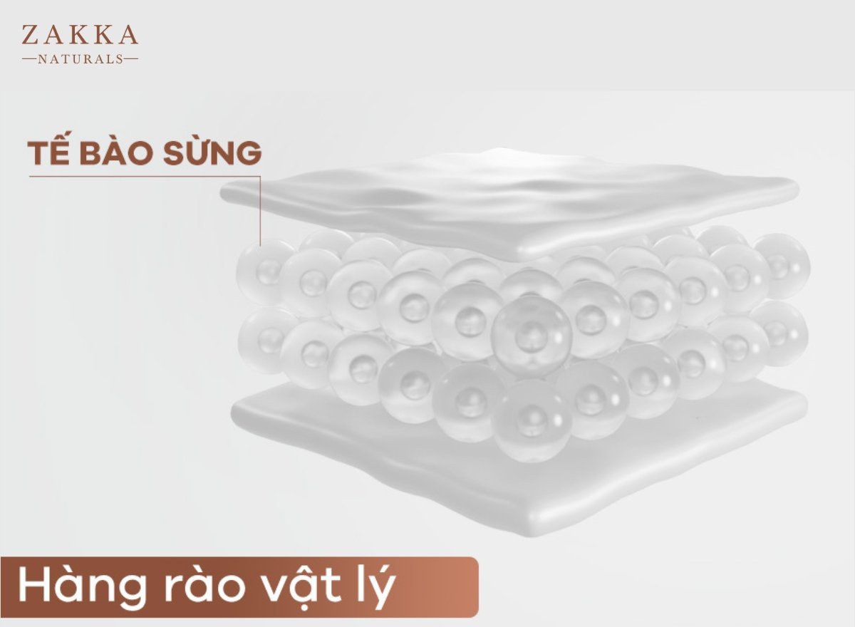 Hàng Rào Bảo Vệ Da Là Gì? Cách Phục Hồi Hàng Rào Bảo Vệ Da Nhanh Chóng?