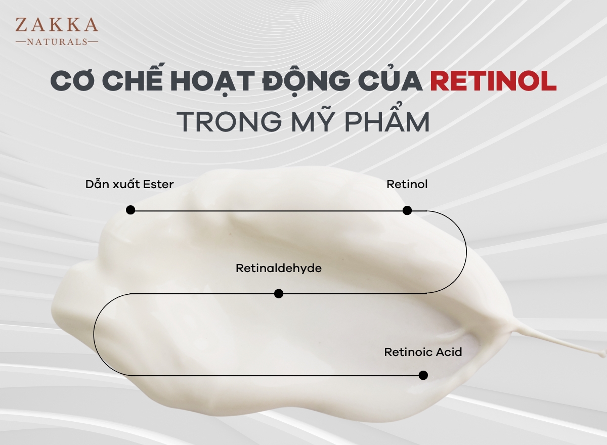 Retinol Là Gì? Dùng Retinol Bao Lâu Thì Ngưng?