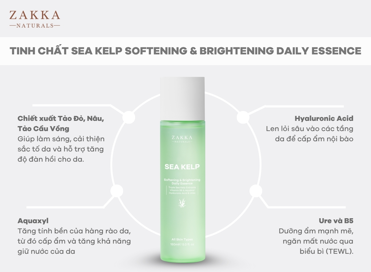 Công nghệ lên men tảo biển bằng Lactobacillus