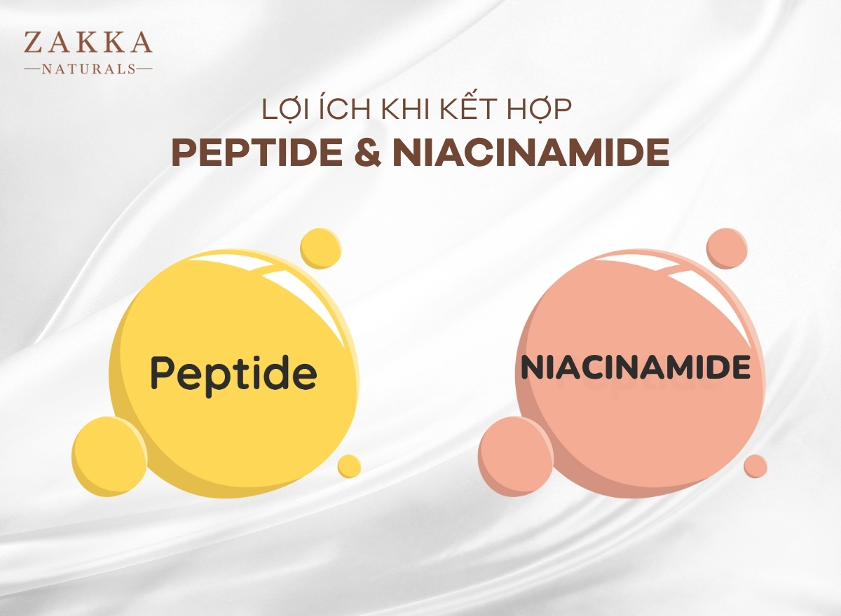 Peptide và Niacinamide - Làn da sáng khỏe, đều màu