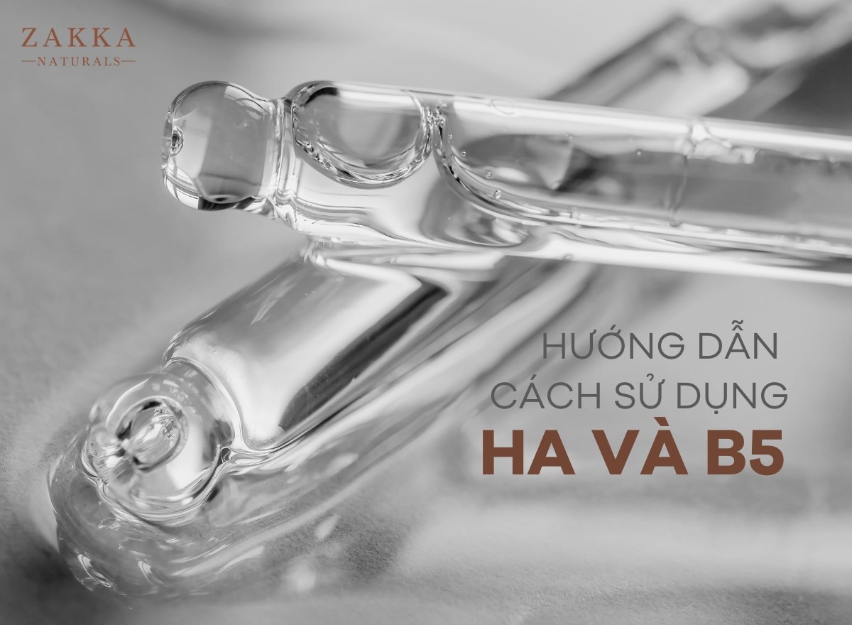 HA và B5
