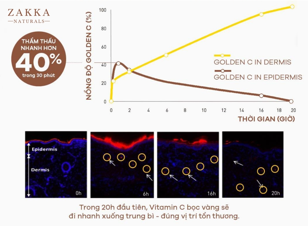 Golden C - Công nghệ bọc vàng hoạt chất Vitamin C tinh khiết
