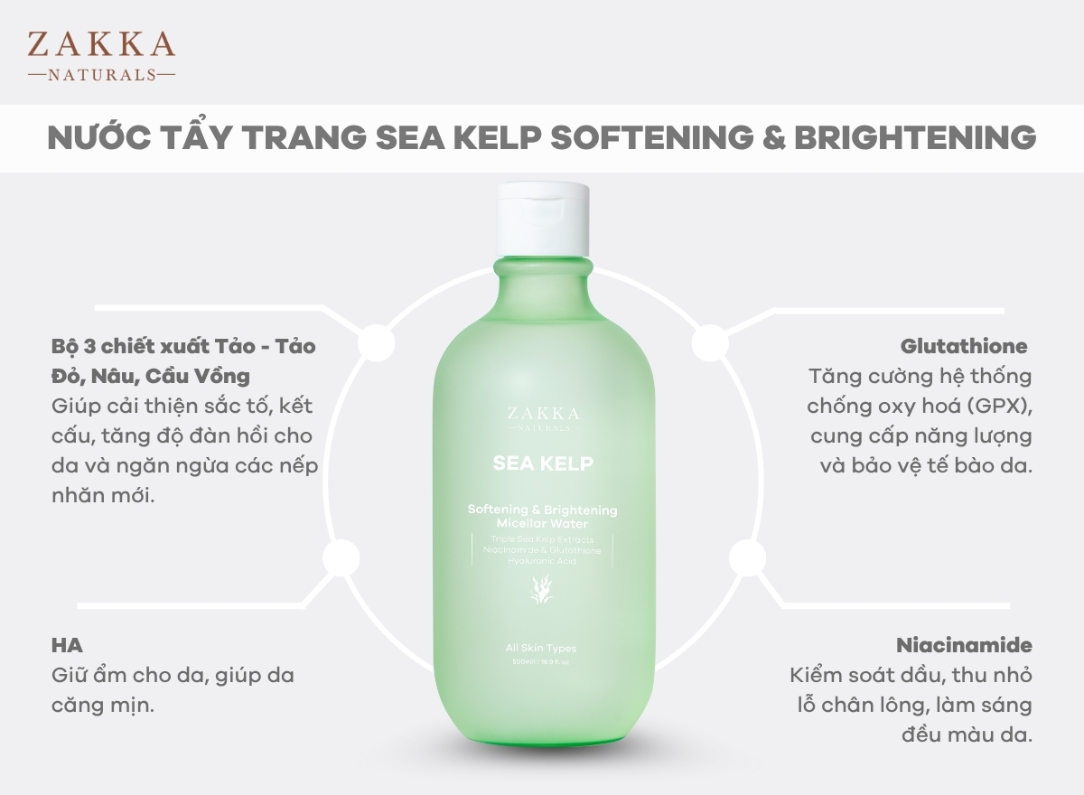 Công nghệ lên men tảo biển bằng Lactobacillus